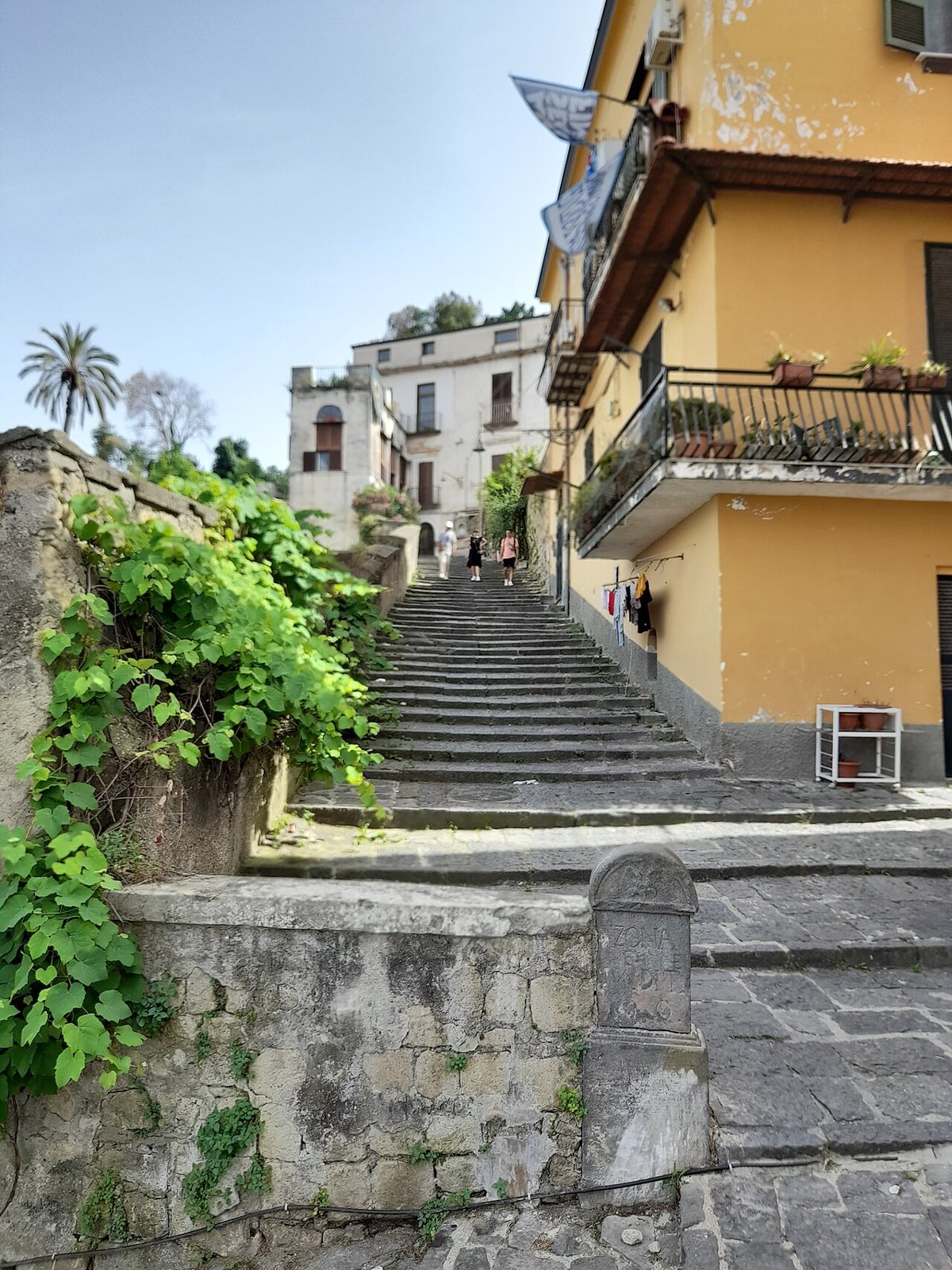 The Pedamentina stair climbing steeply between a mossy stone wall and a yellow house with balconies, greenery spilling over the wall, a palm above.